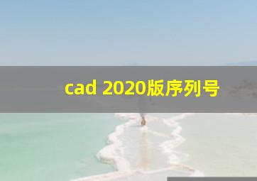 cad 2020版序列号